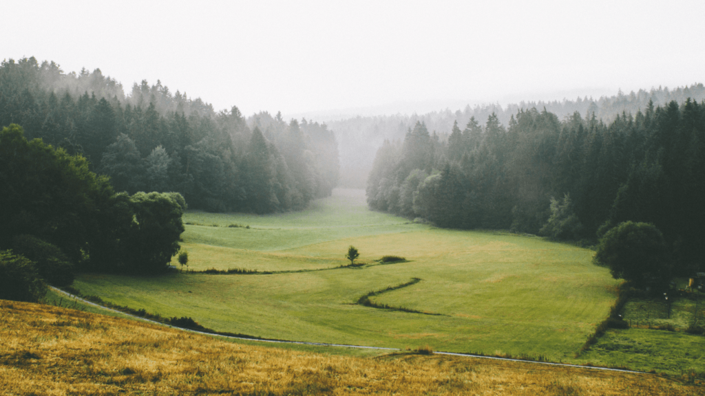 gordons llp greenwashing