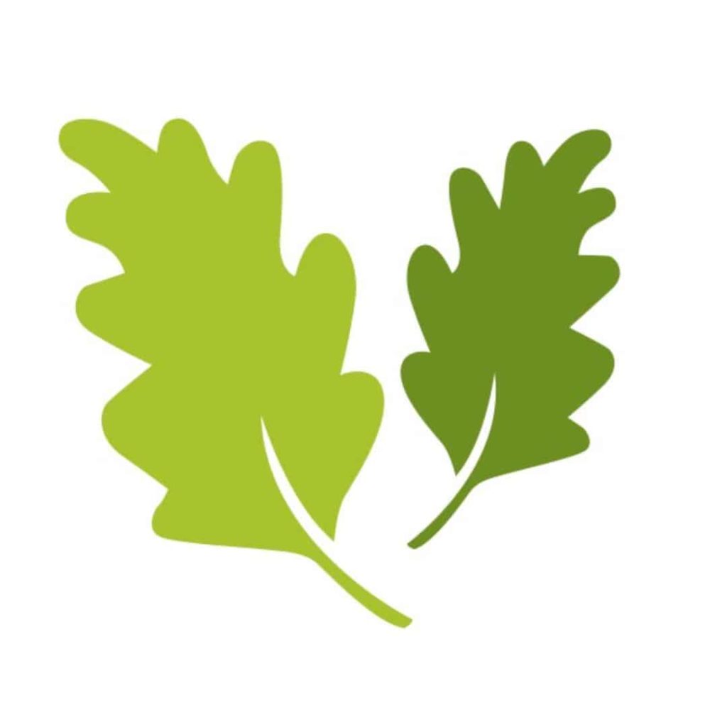 gordons llp oak furniture land