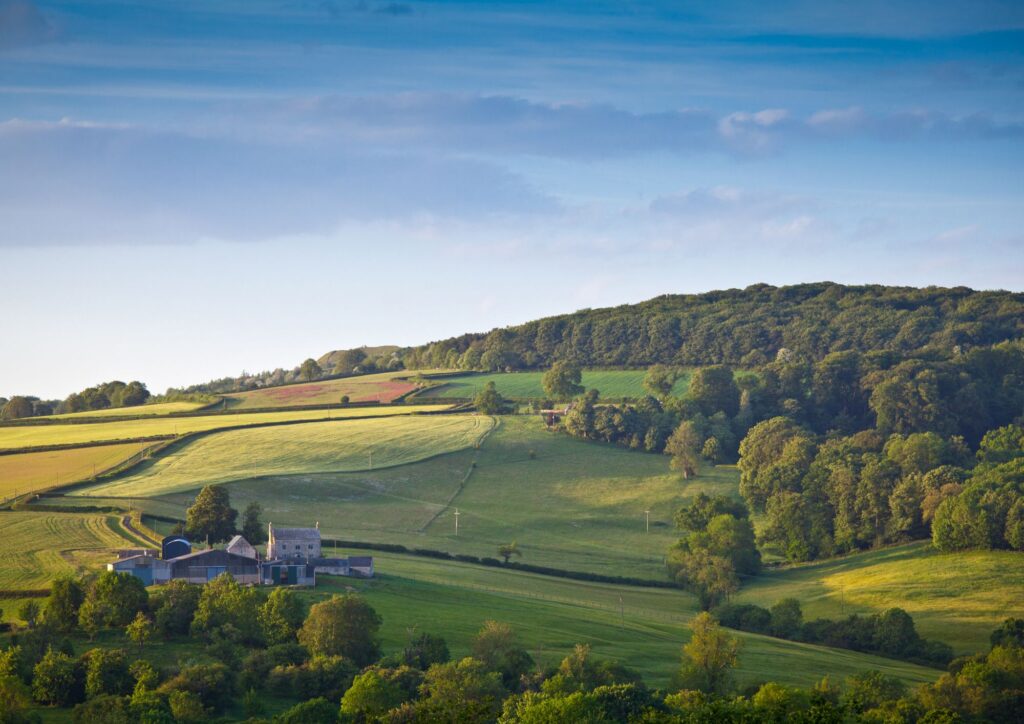 DEFRA publishes Environmental Improvement Plan and Environment Act target delivery plans