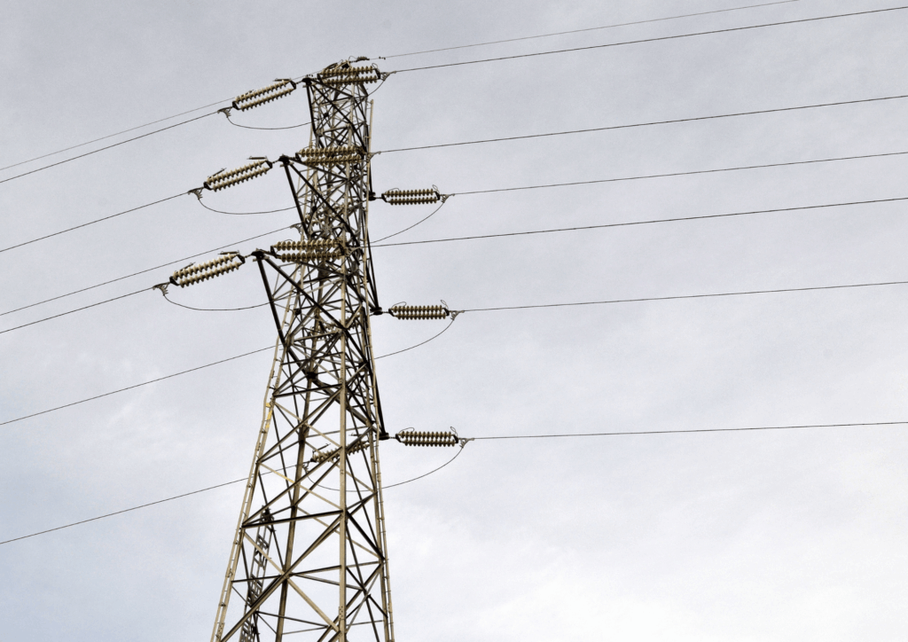 Tree surgeon suffers electric shock from overhead powerline